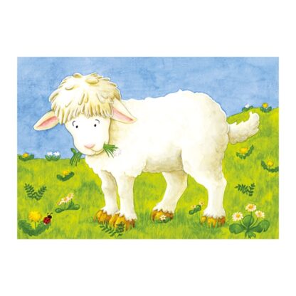 Kostky v dřevěné krabičce – Mláďata (Goki) - Image 3