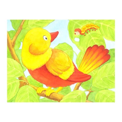 Kostky v dřevěné krabičce – Mláďata (Goki) - Image 7